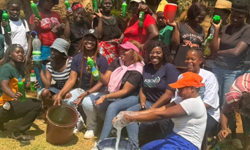 Empowering-Women-Through-Practical -Skills-Dishwashing-Liquid-Production-Training-at-Norton-Colcom-Farm-article-by -knowledge-brook-children-network